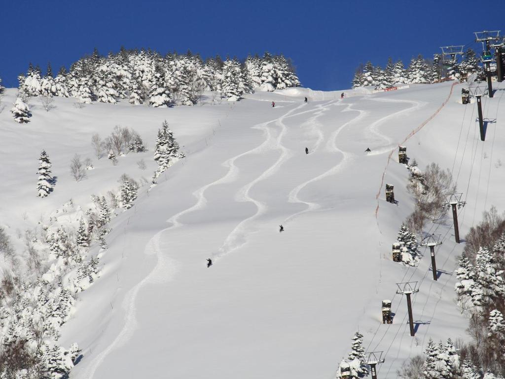 志賀高原プリンスホテル 4* 山ノ内町